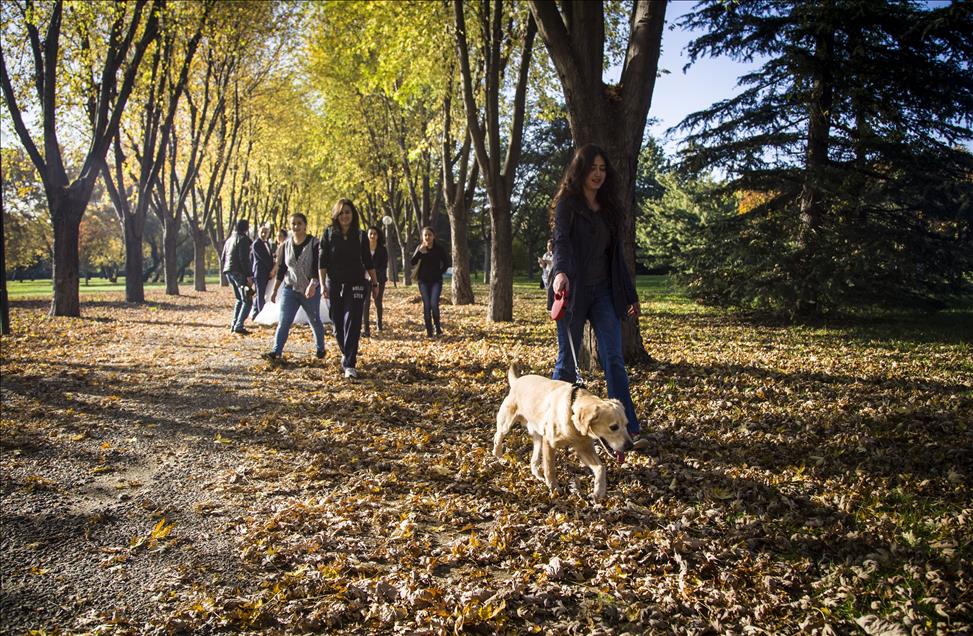 Bursa'da sonbahar