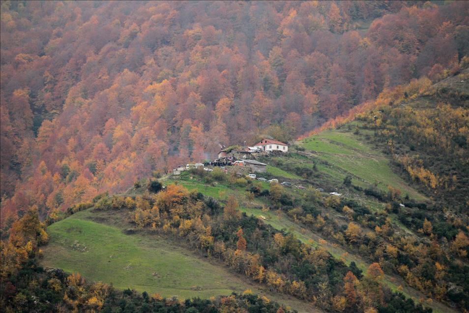 Samsun'da  sonbahar 