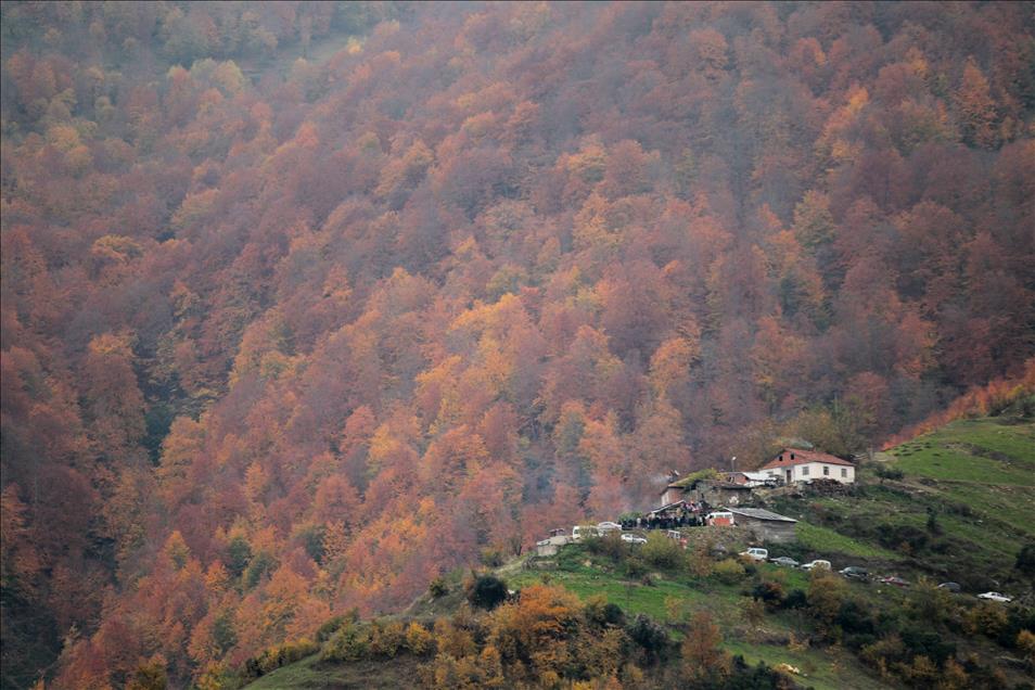 Samsun'da  sonbahar 