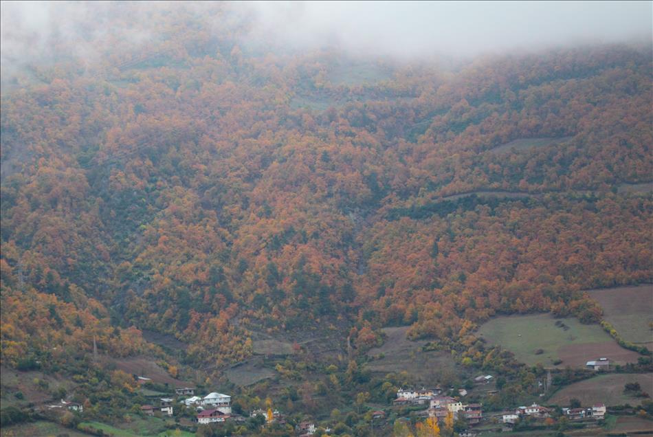 Samsun'da  sonbahar 