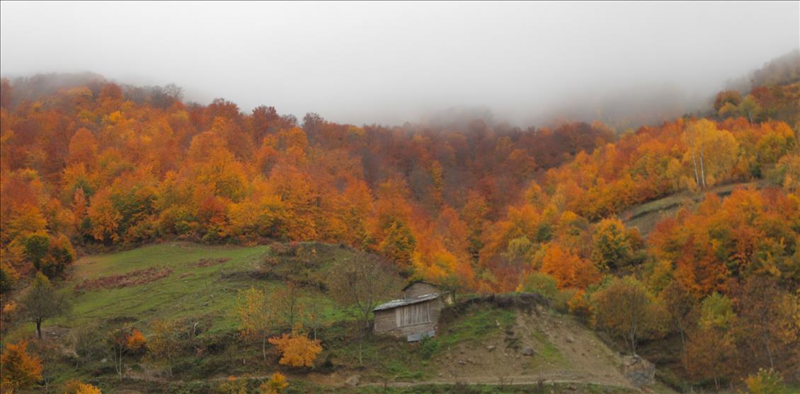 Samsun'da  sonbahar 