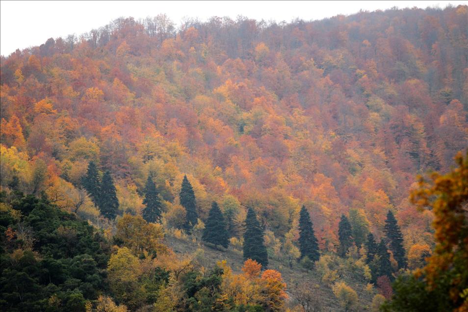 Samsun'da  sonbahar 