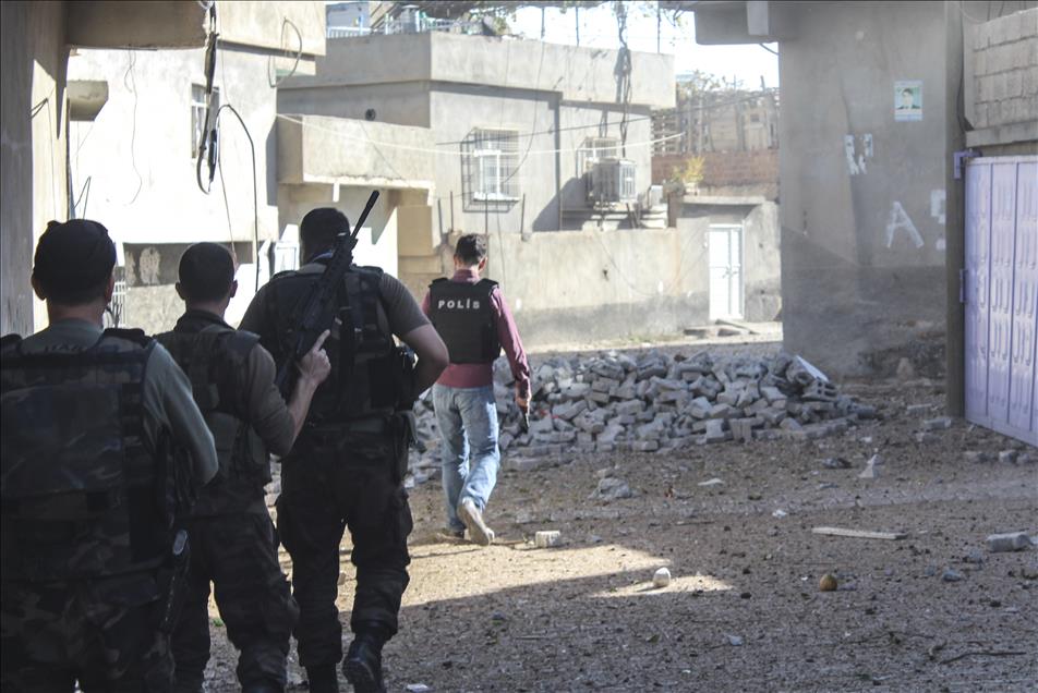 Nusaybin'de terör örgütüne yönelik operasyon