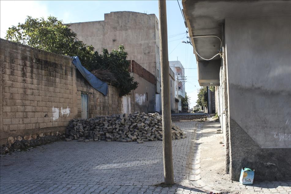 Nusaybin'de terör örgütüne yönelik operasyon