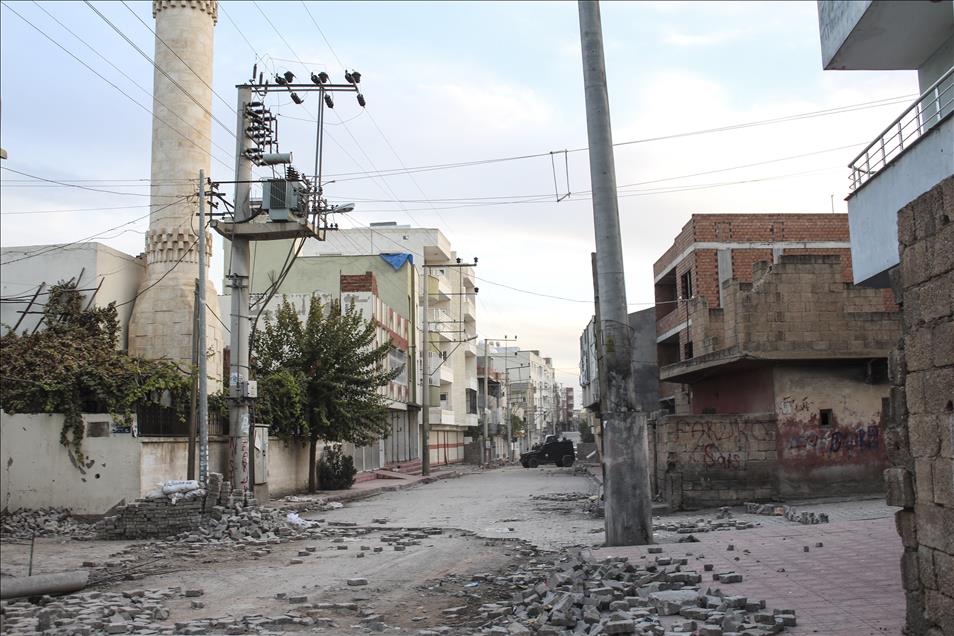 Nusaybin'de terör örgütüne yönelik operasyon