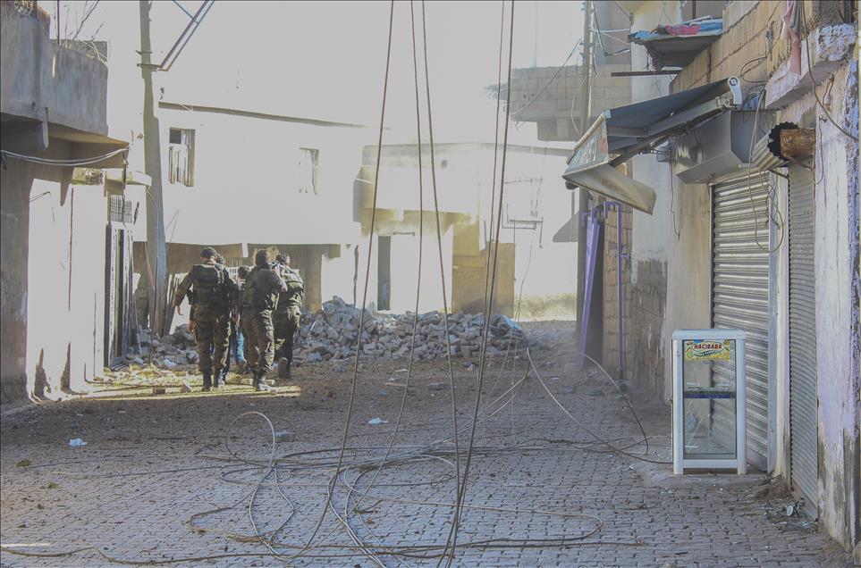Nusaybin'de terör örgütüne yönelik operasyon