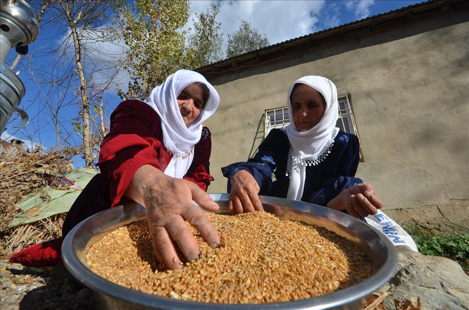 Hakkari'de asırlık buğday dövme geleneği