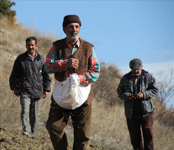 Köylüler ekiyor, yaban hayvanları hasat ediyor
