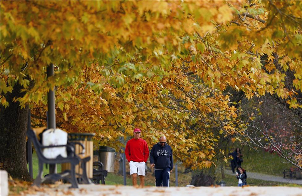 Ankara'da sonbahar