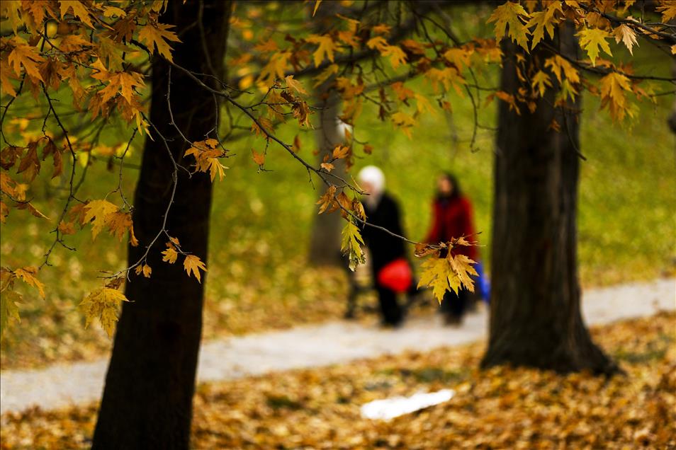 Ankara'da sonbahar