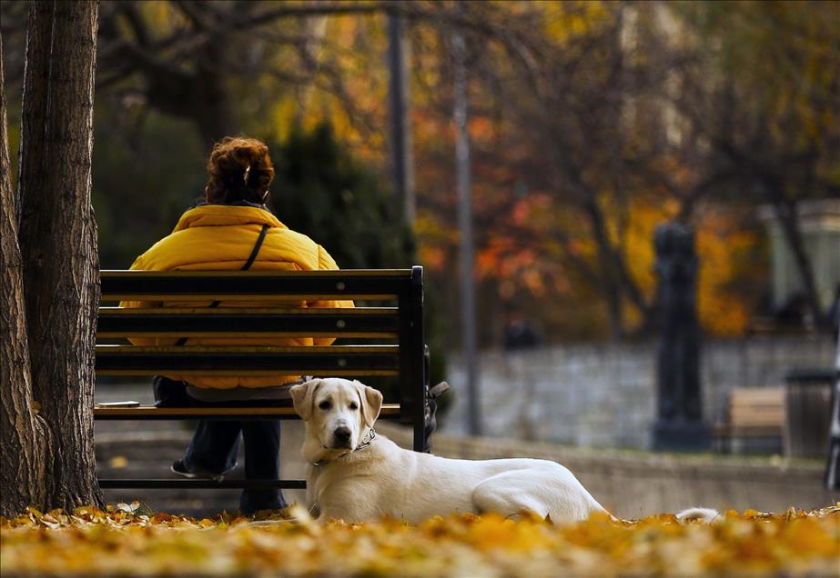 Ankara'da sonbahar