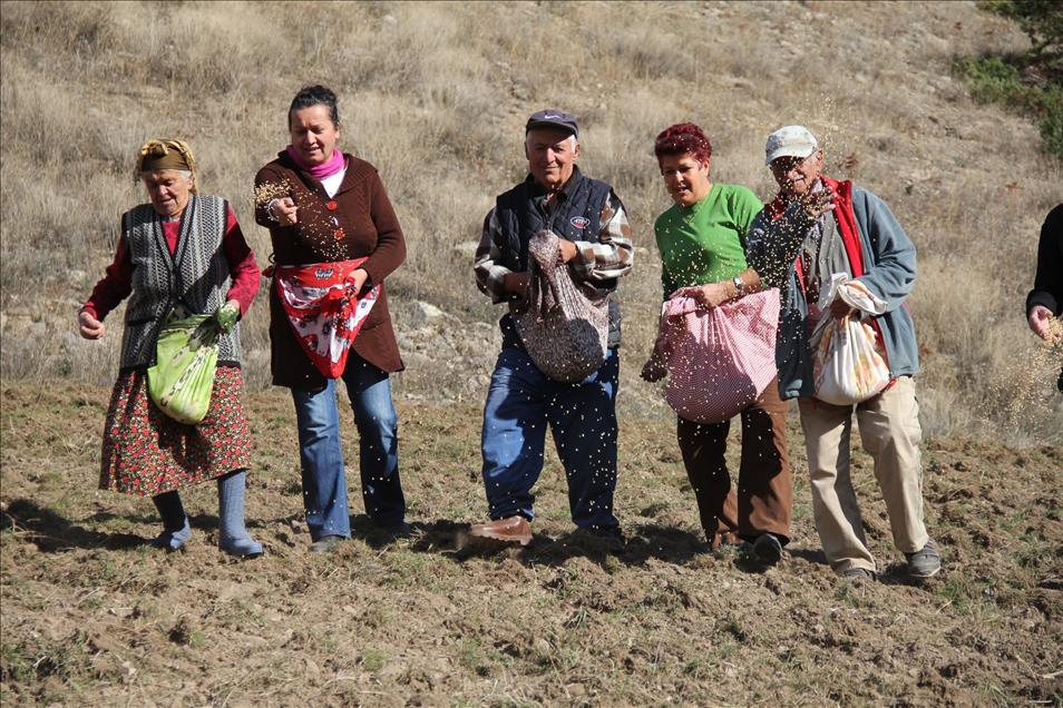Köylüler ekiyor, yaban hayvanları hasat ediyor