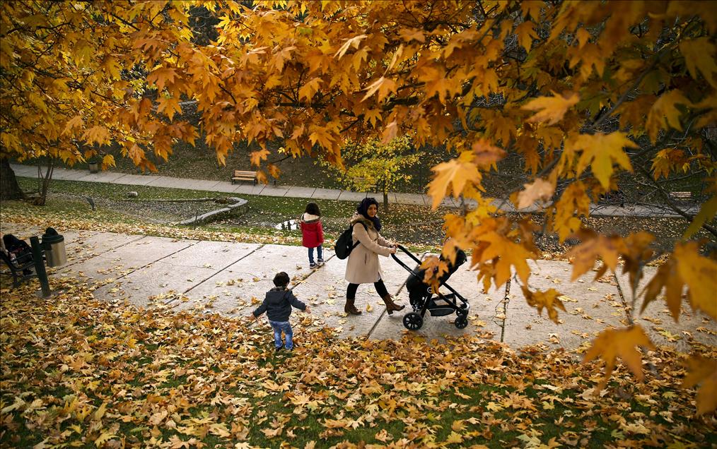 Ankara'da sonbahar