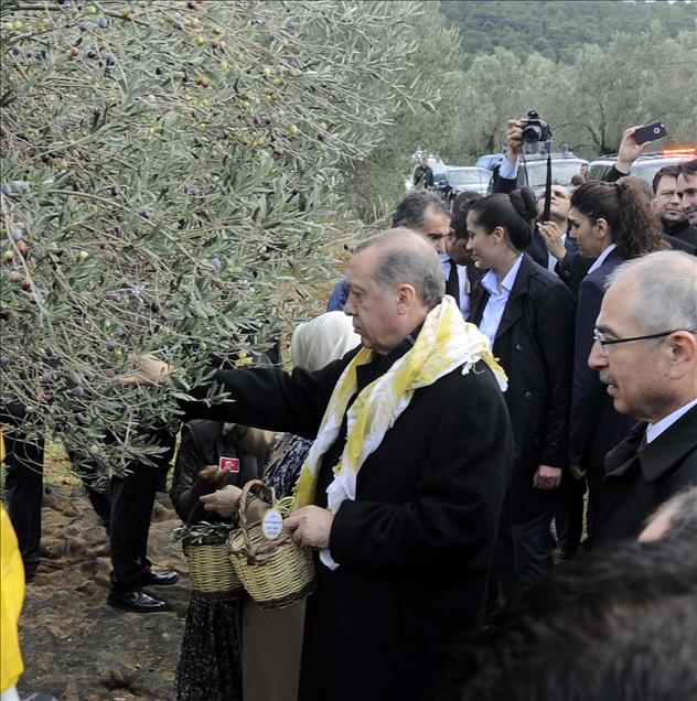 Cumhurbaşkanı Erdoğan Balıkesir'de