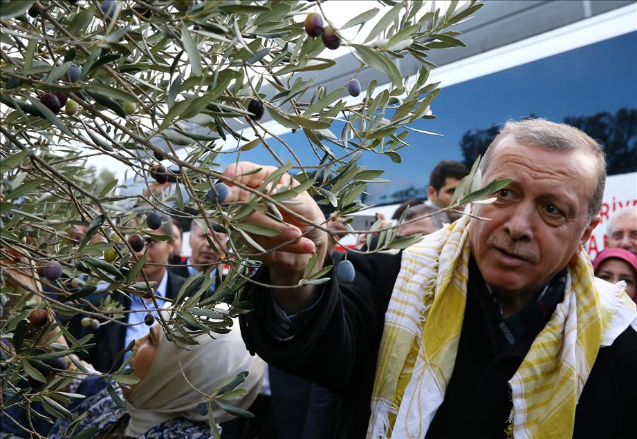 Cumhurbaşkanı Erdoğan, Balıkesir'de