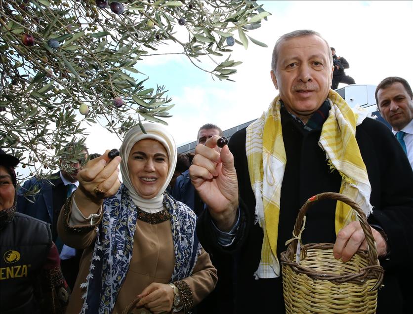 Cumhurbaşkanı Erdoğan, Balıkesir'de