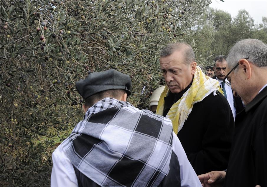 Cumhurbaşkanı Erdoğan Balıkesir'de