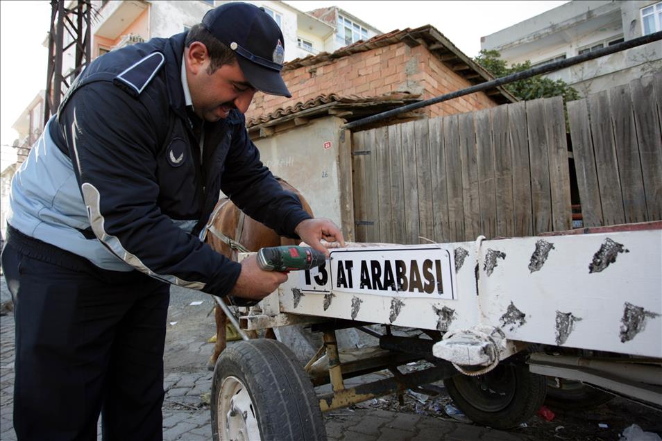 At arabalarına da plaka takıldı