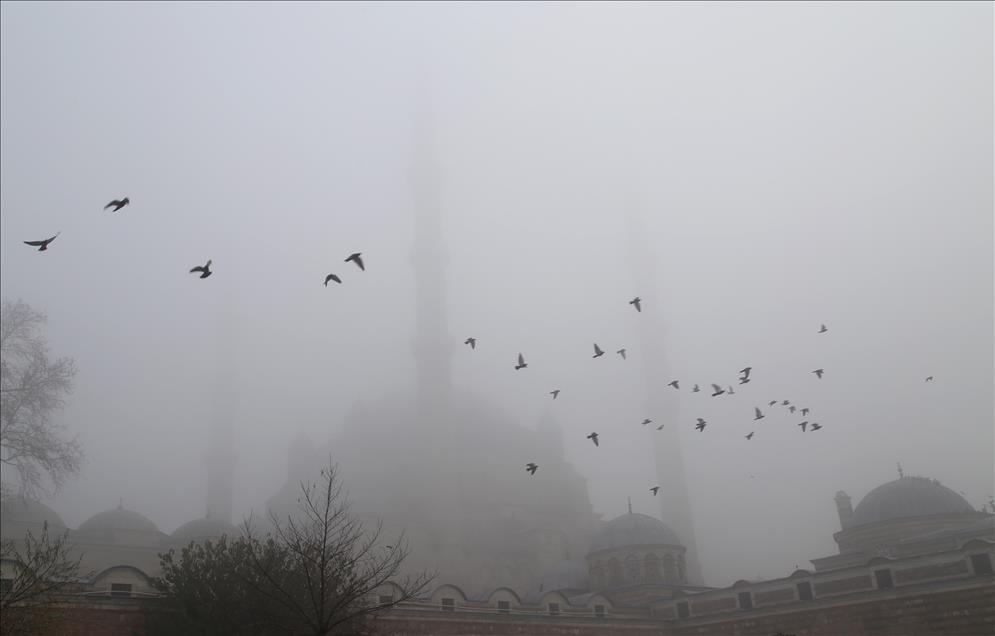 Edirne'de yoğun sis - Anadolu Ajansı