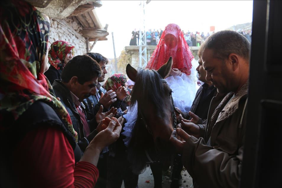Torosların asırlık düğün geleneği