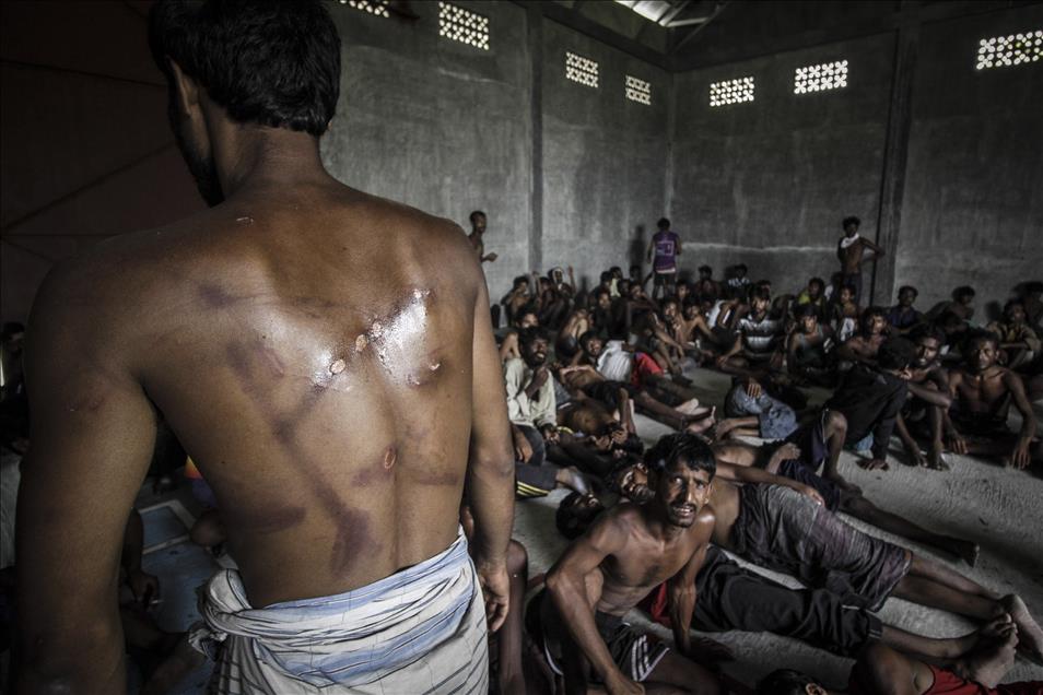 Anadolu Agency's Best Pictures of 2015