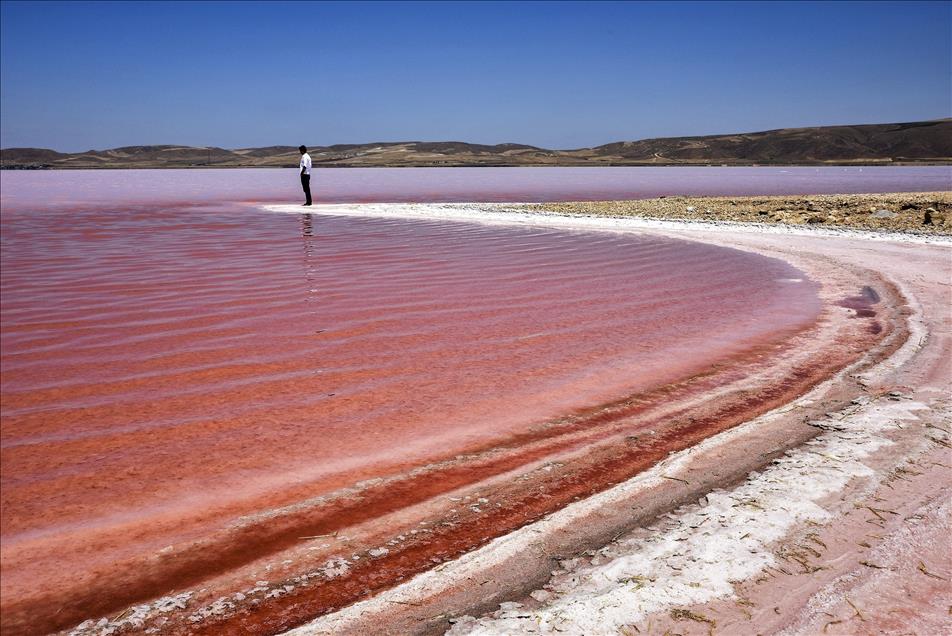 Anadolu Agency's Best Pictures of 2015