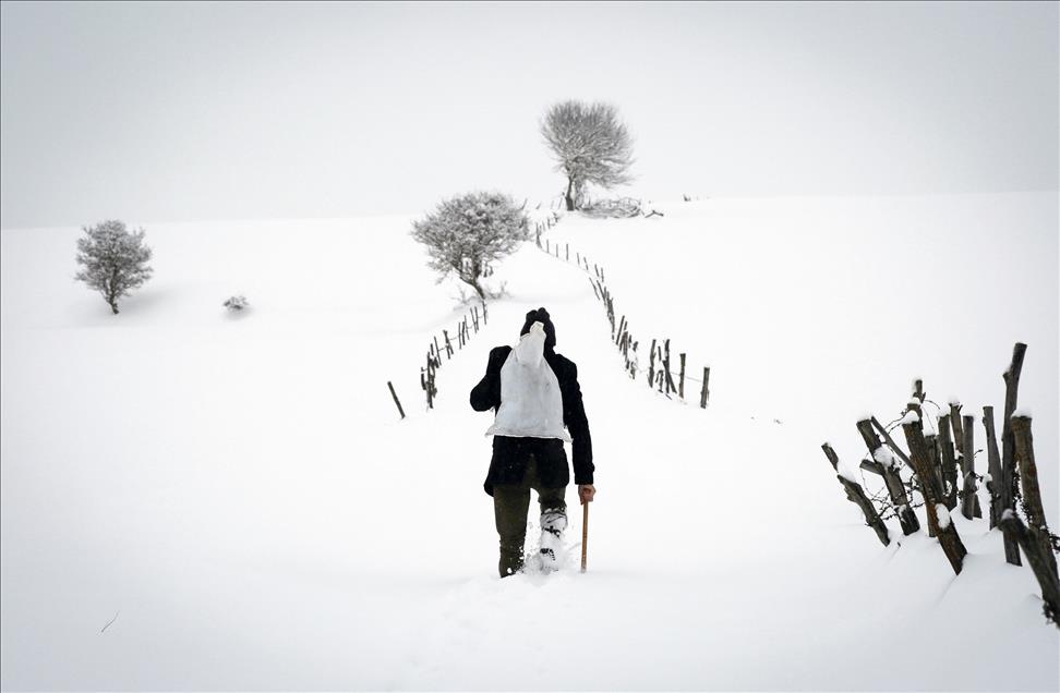 Anadolu Agency's Best Pictures of 2015