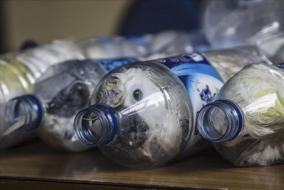 Anadolu Agency's Best Pictures of 2015