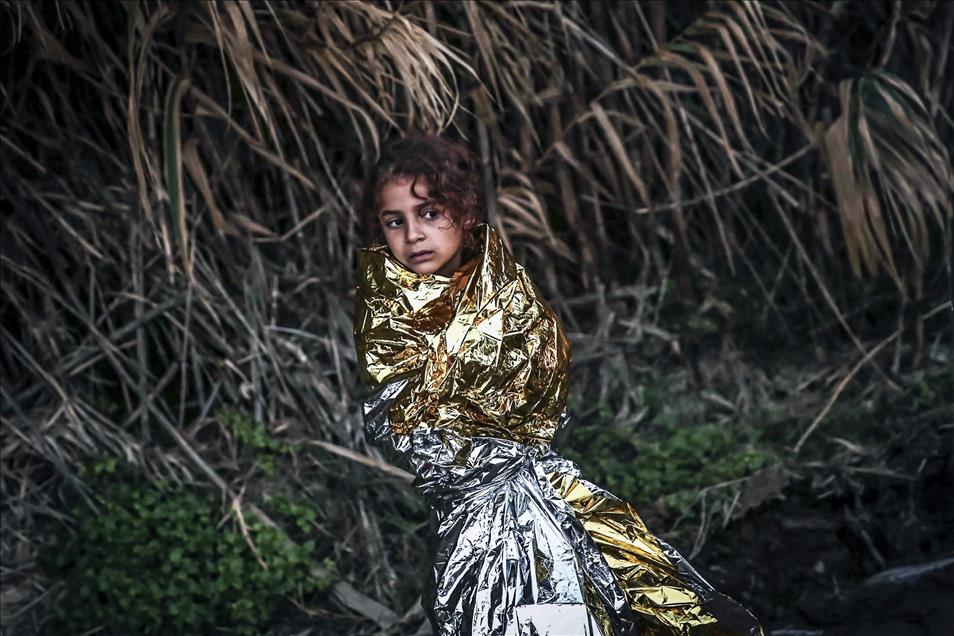 Anadolu Agency's Best Pictures of 2015