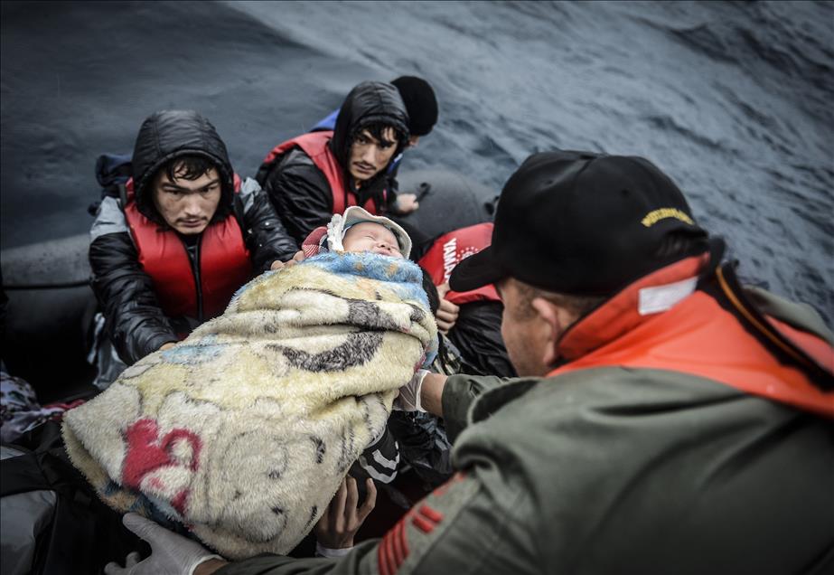 Anadolu Agency's Best Pictures of 2015