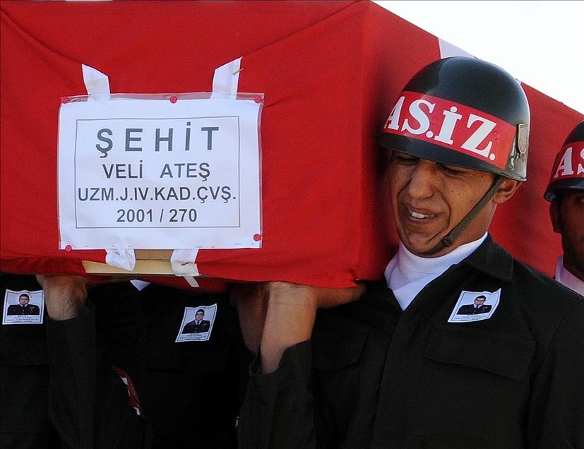 Anadolu Agency's Best Pictures of 2015