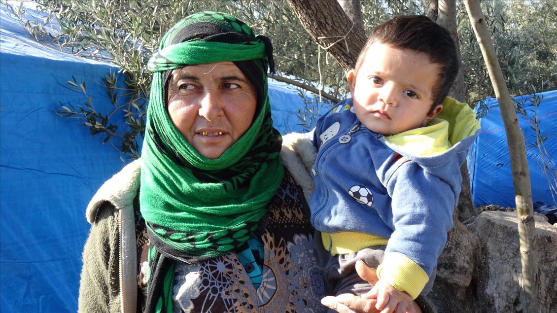 "Umut yolcuları" zeytin işçisi oldu