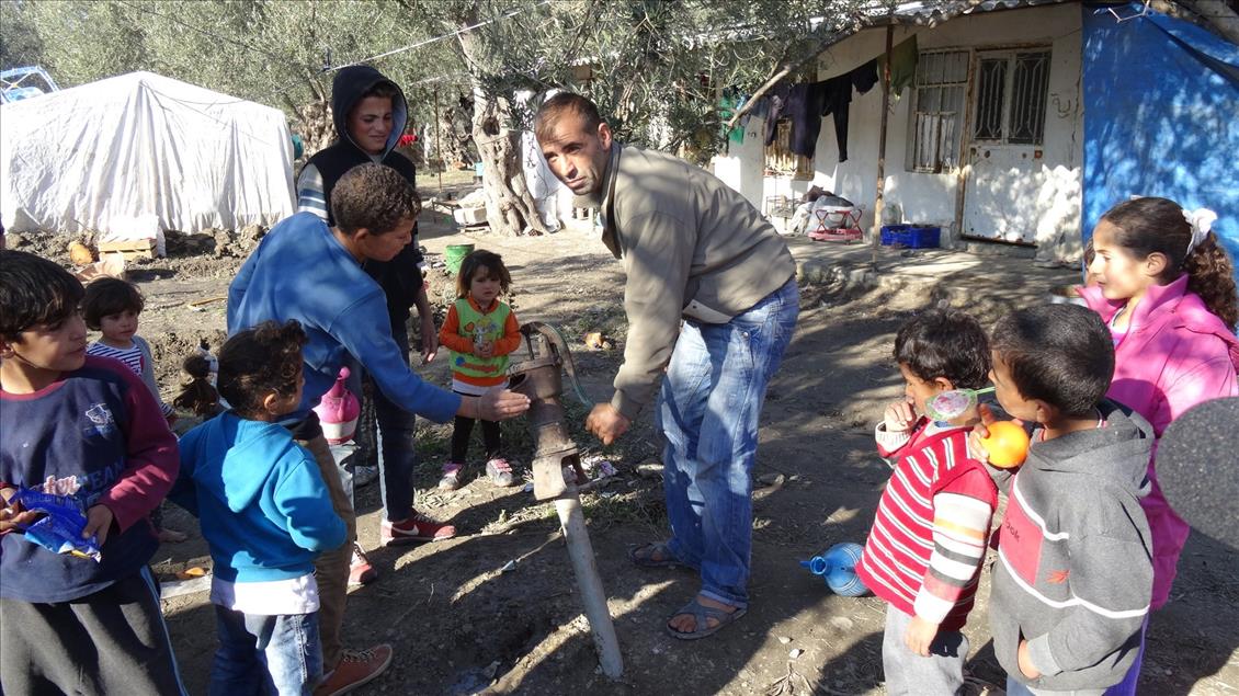 "Umut yolcuları" zeytin işçisi oldu