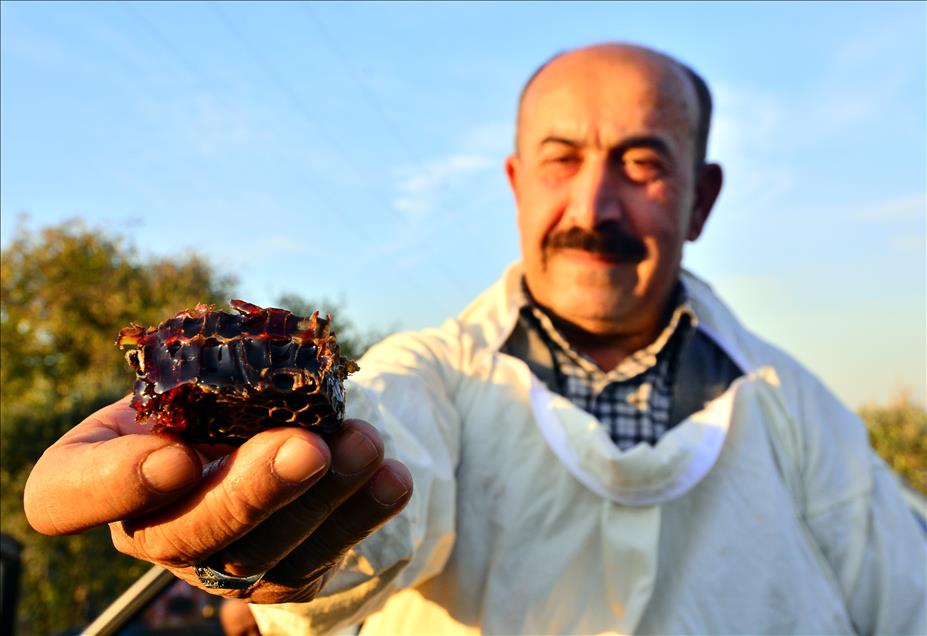 Kovandan "kırmızı bal" çıktı