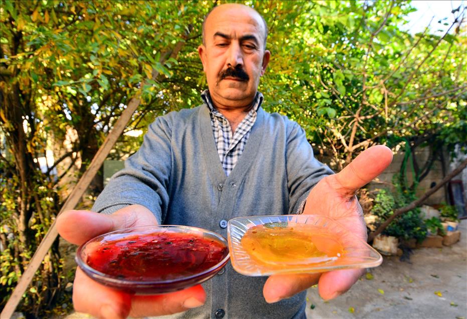 Kovandan "kırmızı bal" çıktı