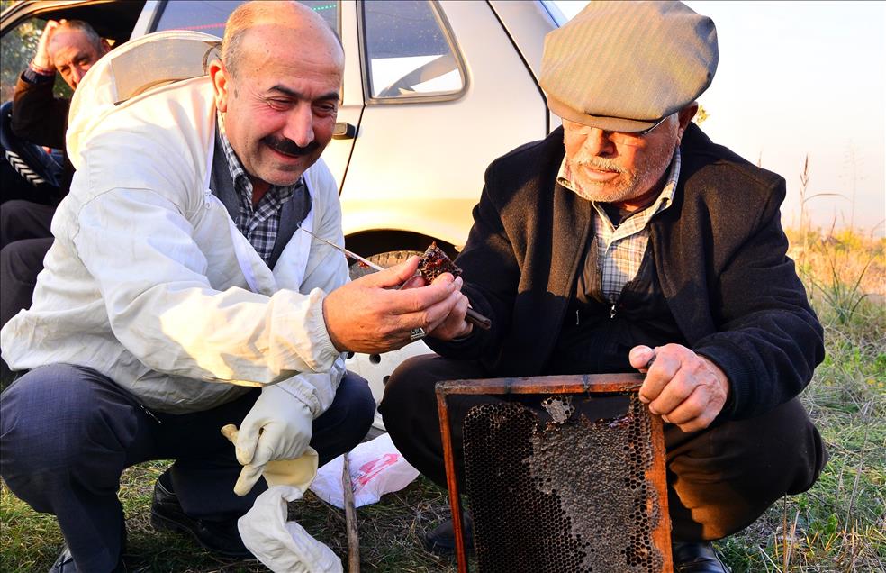 Kovandan "kırmızı bal" çıktı