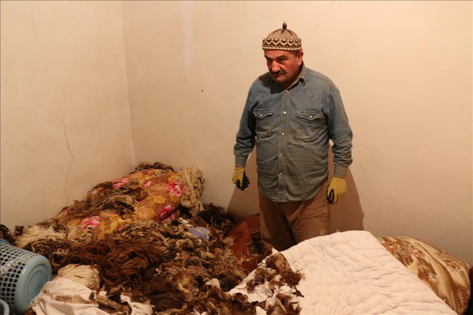 Erzurum'da aç kalan ayı eve girdi