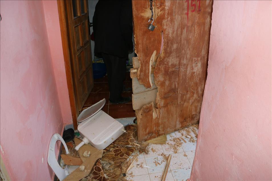 Erzurum'da aç kalan ayı eve girdi
