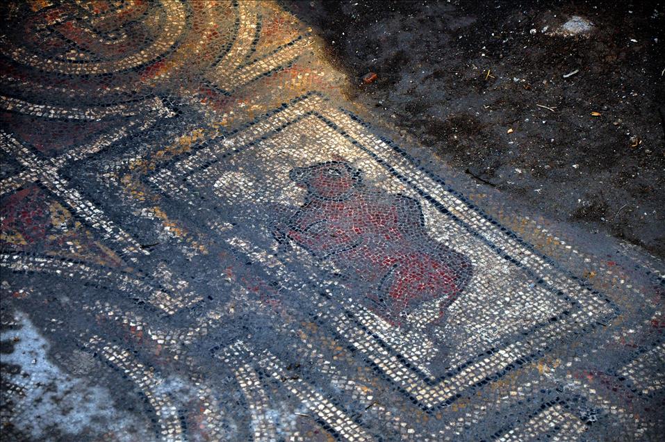 Osmaniye'de Roma dönemine ait mozaik bulundu