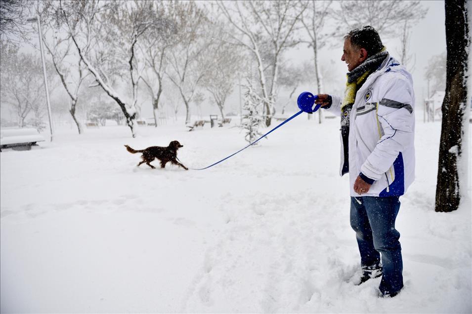 بارش برف در استانبول
