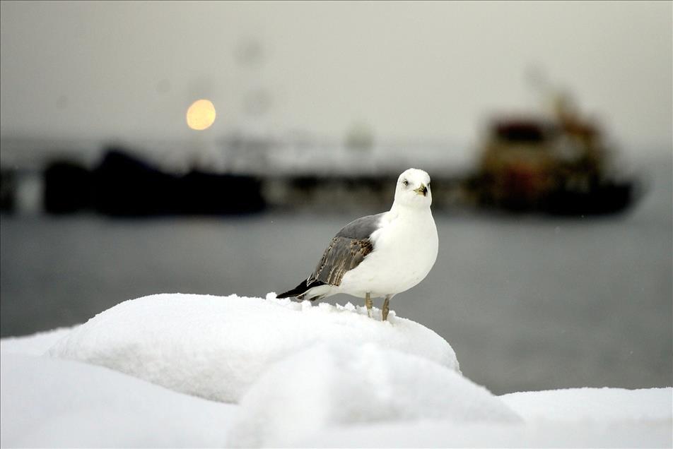 بارش برف در استانبول