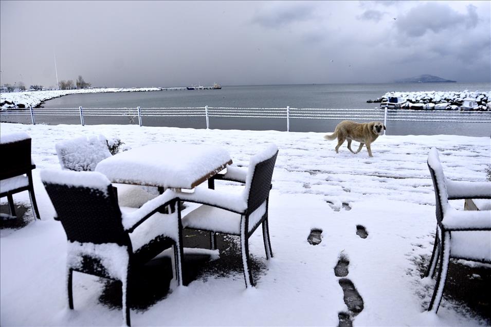 İstanbul'da kar yağışı