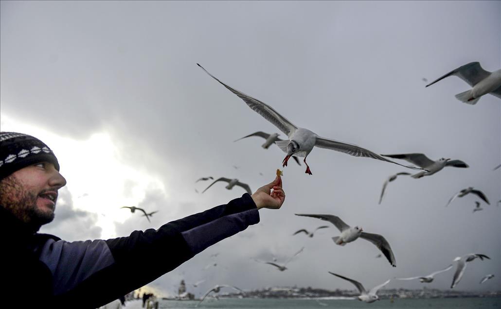 بارش برف در استانبول