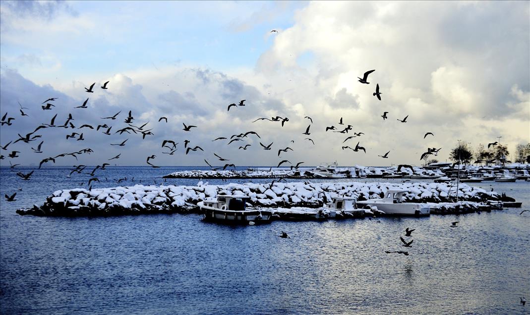 بارش برف در استانبول