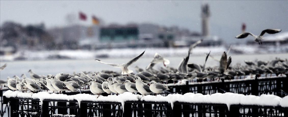 İstanbul'da kar yağışı