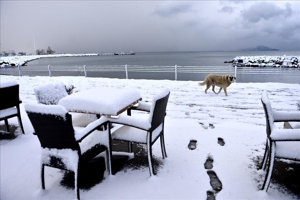 بارش برف در استانبول