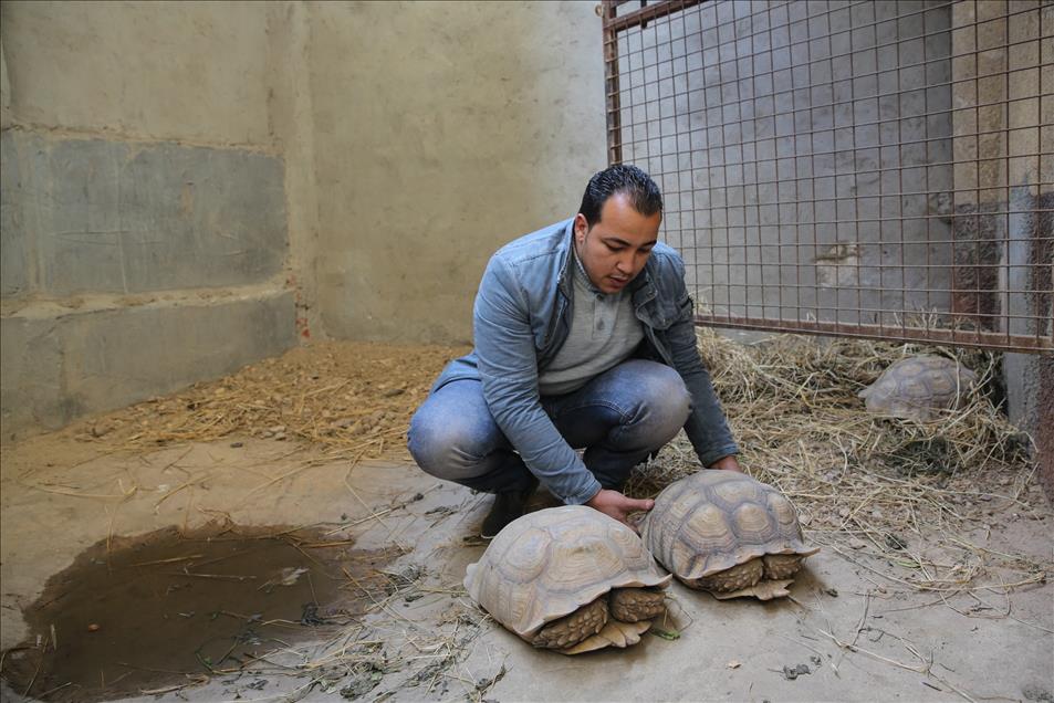 Home turned into "Zoo" in Egypt