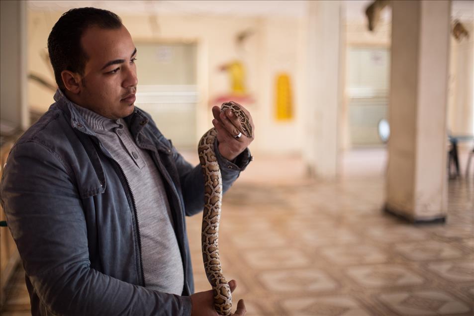 Home turned into "Zoo" in Egypt