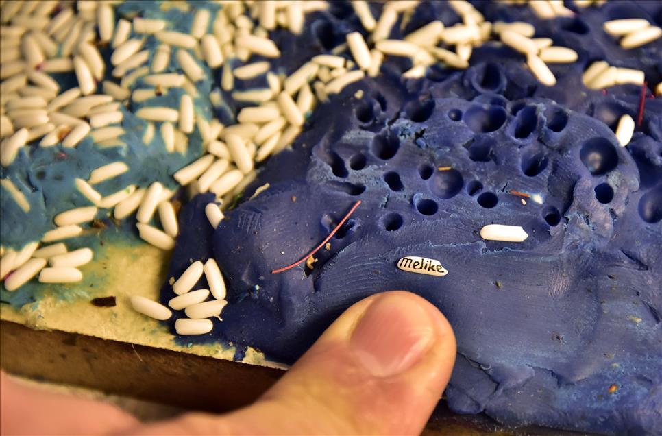 Pirinç tanelerini sanata dönüştürüyor