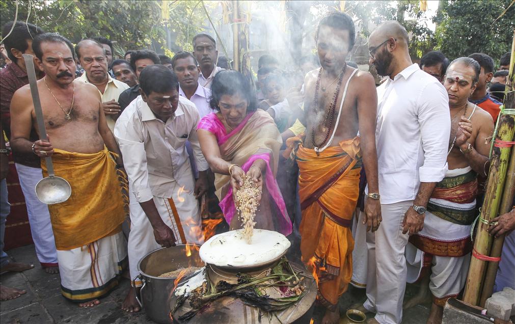 Thai Pongal Hindu Festival Sri Lanka